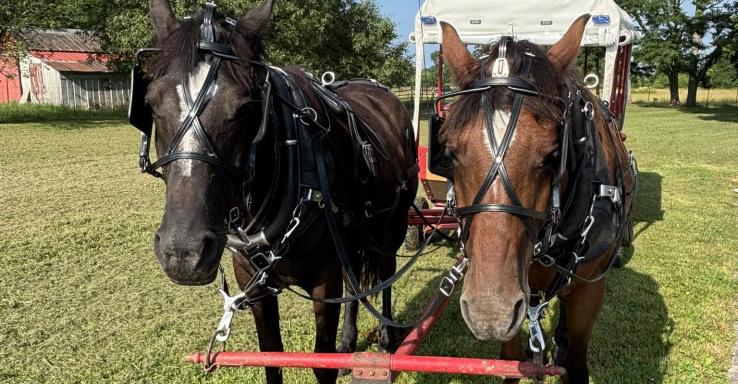 Amish Country Tours - Gallery Image 2