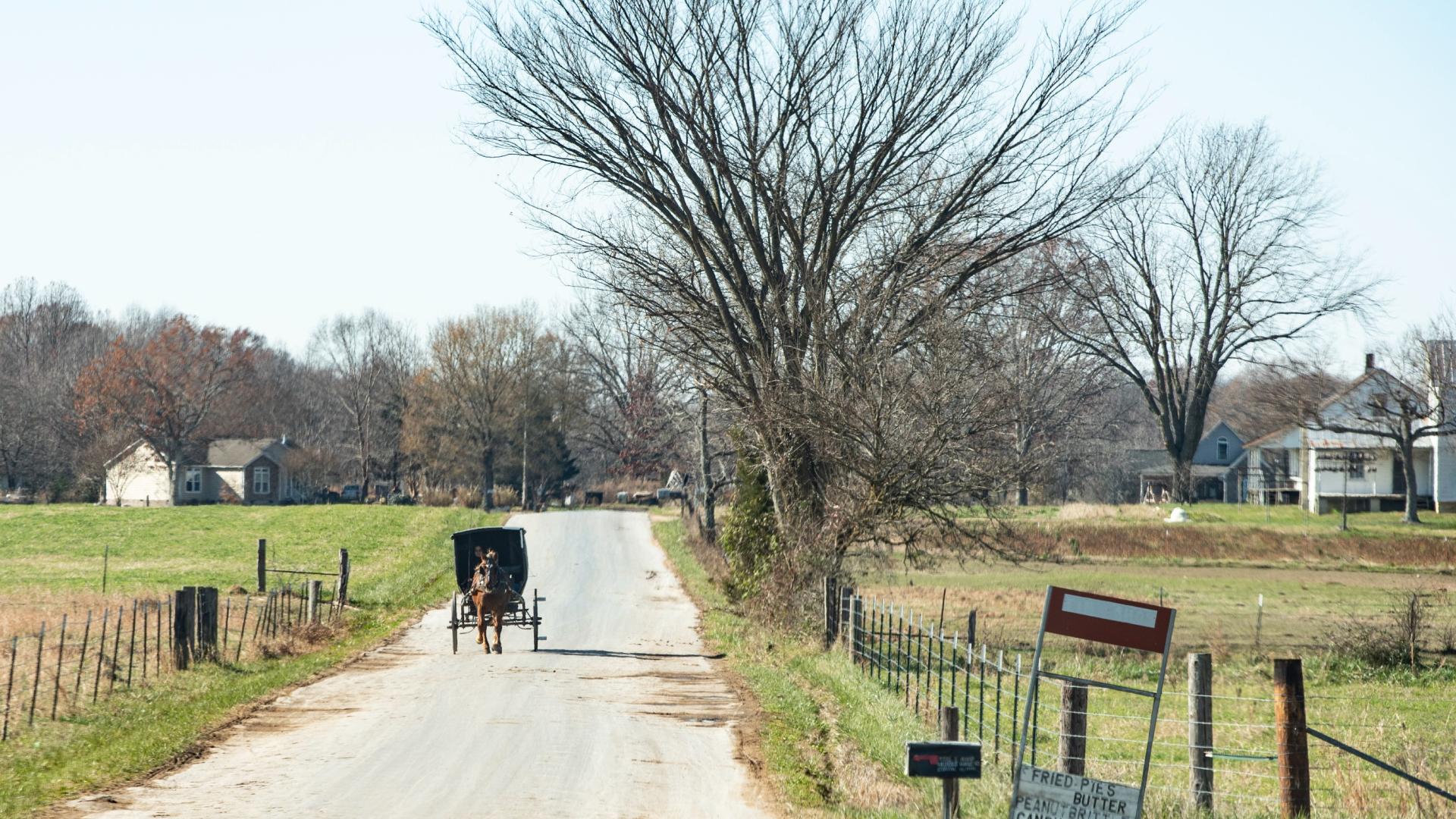 Amish Country Tours