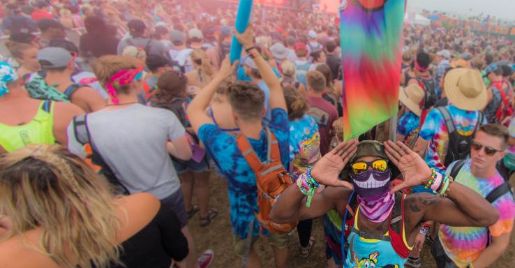 Bonnaroo Music & Arts Festival - Gallery Image 3