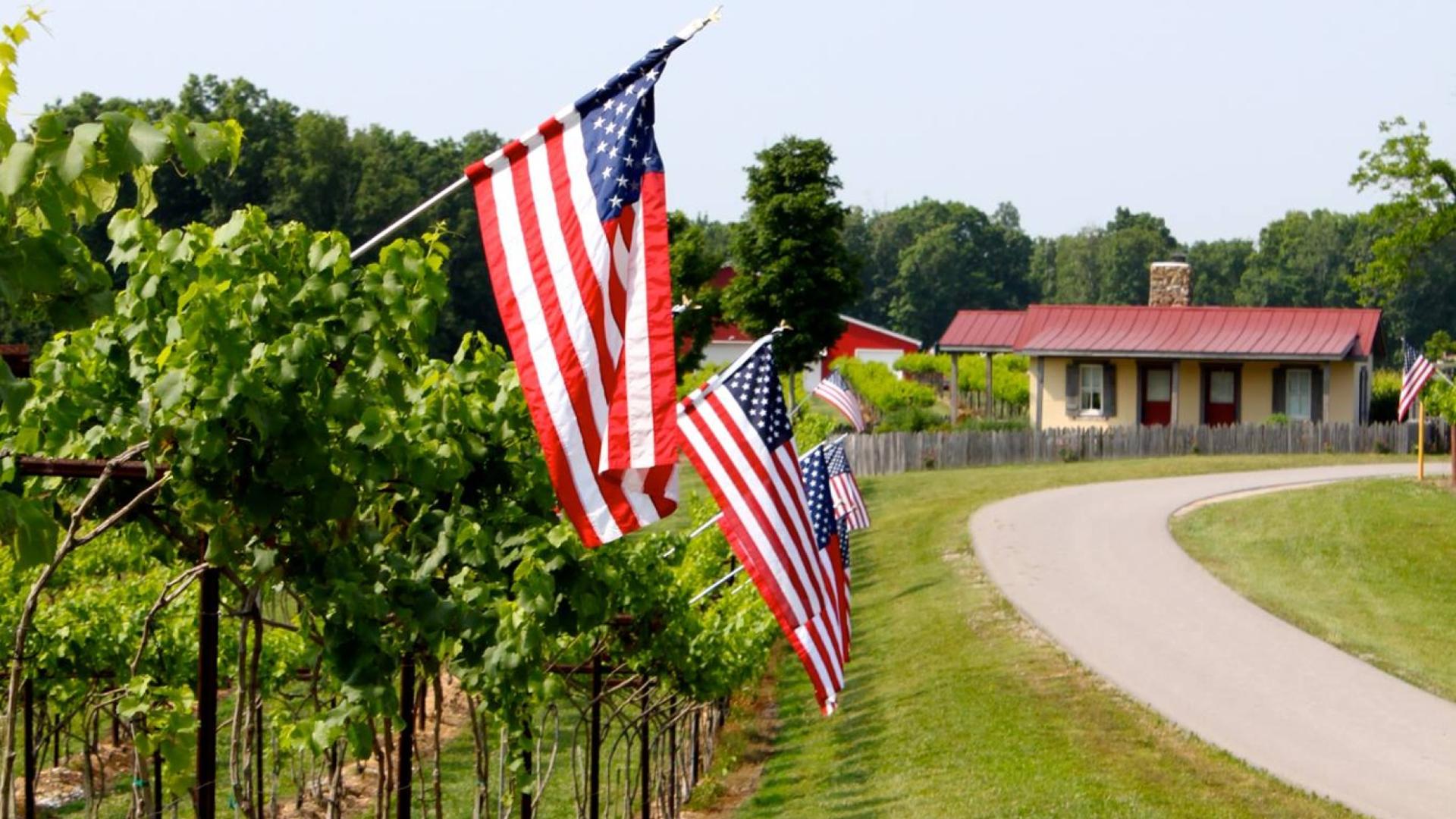 Amber Falls Winery & Cellars