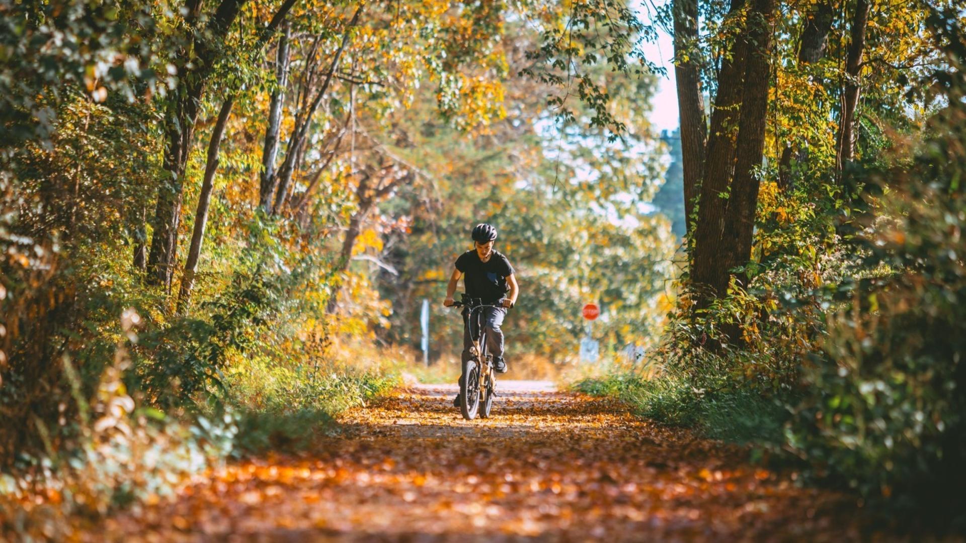Woody's Bicycles