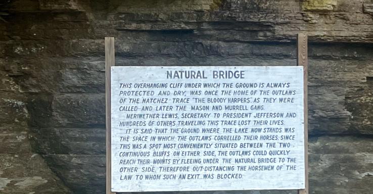 The Bridges - Gallery Image 2